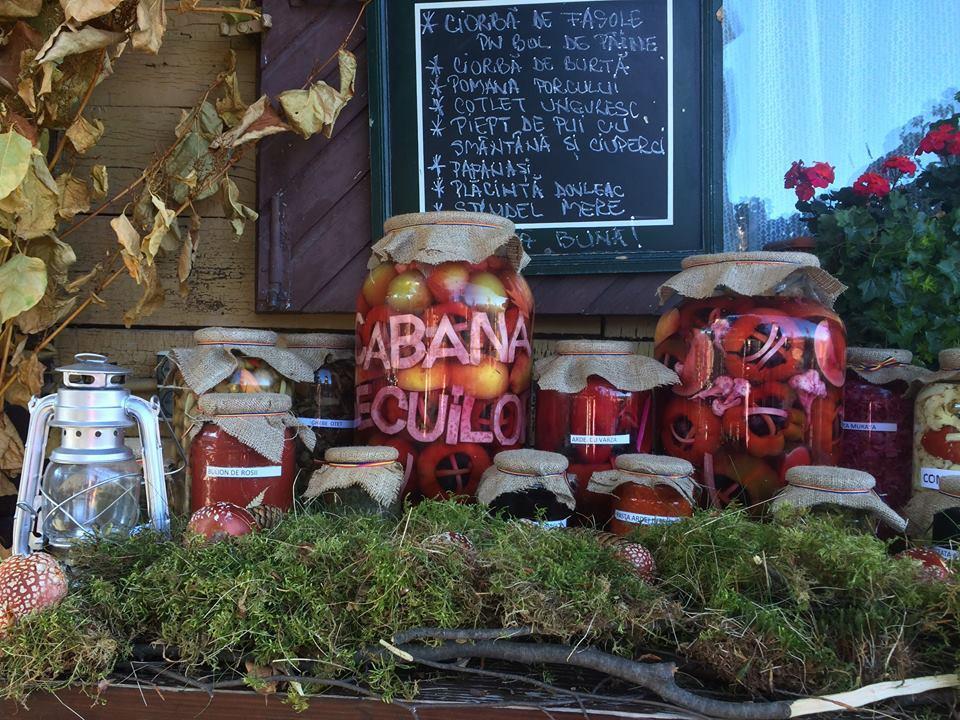 普雷代亚尔 Cabana Poiana Secuilor酒店 外观 照片